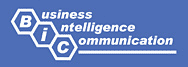 Business Intelligence Communication